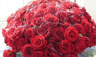 九朵玫瑰花代表什么 九朵玫瑰花有什么寓意