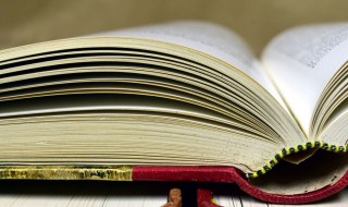 圣经中美好寓意的名字 圣经中美好寓意的名字有什么