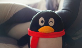 qq怎么看加好友多少天 qq看加好友多少天的方法