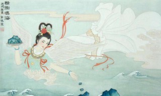 精卫指的是什么? 精卫是谁