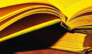 主角不是人的小说推荐 主角不是人的小说推荐有什么