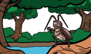 除蟑螂的好方法 在家怎么预防有蟑螂