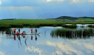 湿地又被称为什么? 湿地还有其他的称呼吗