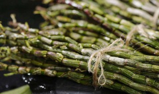 新鲜石斛的食用方法 新鲜石斛的作用