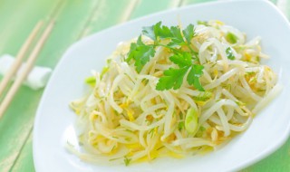 绿豆芽的种植方法 绿豆芽怎么种