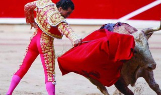 斗牛为什么用红色的布 科普斗牛用红布的原因