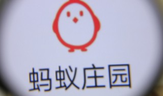 知道蚂蚁庄园是在什么时候初上线的吗？蚂蚁庄园是什么