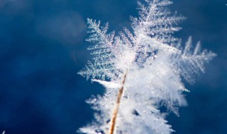 简短早安心语 简短早安心语有哪些
