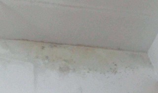 乳胶漆白墙脏了小妙招 该怎么办呢