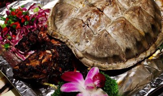 烤王八做法 有什么具体的步骤