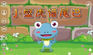 壁虎怎么养 壁虎养殖方法