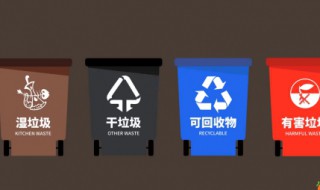 如何垃圾分类 如何正确的进行垃圾分类