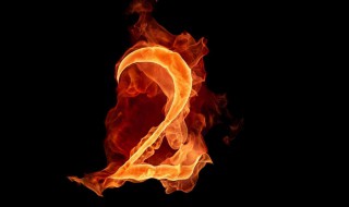 自然数的概念 自然数的概念是什么