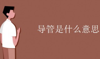 导管是什么意思 导管介绍