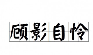 顾影自怜是什么意思 成语顾影自怜解释