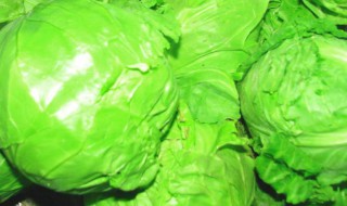包菜去皮方法 手撕包菜做法介绍
