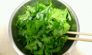 蒸芹菜叶的方法窍门 制作的步骤有哪些