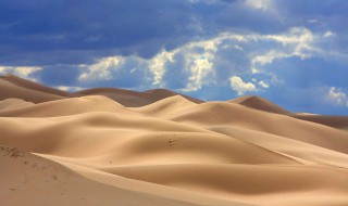 预防沙化如何做 怎么预防沙化