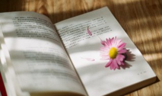 新鲜感的词句 有新鲜感的词句集锦