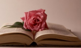 美丽城市的词句 描写美丽城市的词句介绍