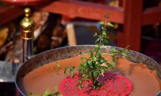 蒸甜粿方法 蒸甜粿方法介绍