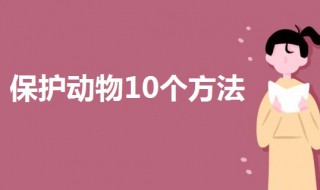 保护动物10个方法 保护动物应该要这样做