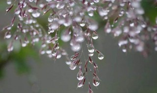 寒露的寓意 寒露的寓意是什么