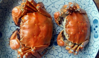 闸蟹清蒸做法 清蒸大闸蟹的做法