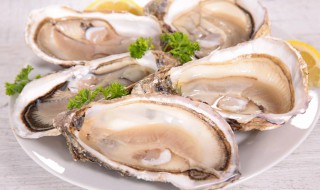 牡蛎蘑菇做法 牡蛎蘑菇怎么做