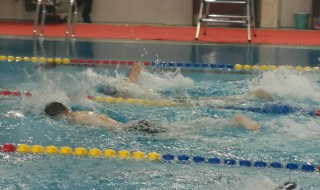 蛙泳如何才能游得快 蛙泳怎么游得快