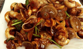 蜜汁香螺做法 蜜汁香螺怎么做