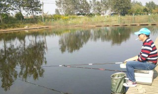 钓鱼用料怎么做 分别有什么饵料