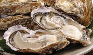 牡蛎怎么做的白 这样做最好吃