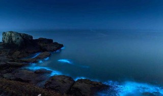 蓝眼泪什么时候出现 出现蓝眼泪的时间