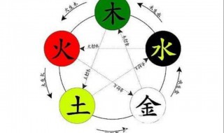 五行是指哪五行 常说的五行是什么