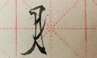 月字旁的有什么字 月字旁的字有哪