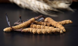 虫草花和什么相克 和虫草花相克的食物