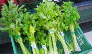 芹菜做法 芹菜做法介绍