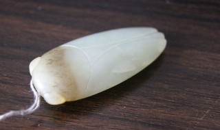 玉蝉寓意 它的寓意居然还有让人忌讳的