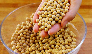 黄豆如何做咸豆 黄豆做咸豆的方法