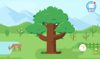 种成一颗梭梭树需要在蚂蚁森林中积累多少能量? 蚂蚁森林介绍
