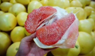 柚子成熟的季节是几月 在什么季节呢