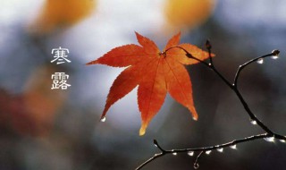 寒露打雷好吗 寒露是在什么时候呢