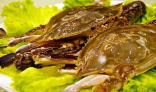 江蟹要怎么处理 处理螃蟹的步骤详解