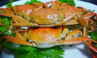 花蟹怎么处理才干净 花蟹干净的处理方法