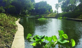 农村水硬怎么处理 农村水硬的处理方法