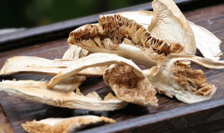 干松茸的食用方法 干松茸可以这样吃