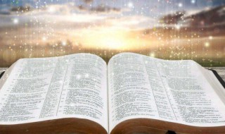 慧极必伤情深不寿是什么意思 慧极必伤情深不寿解释