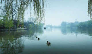 山色空蒙雨亦奇的空蒙是什么意思 原文是怎么写的
