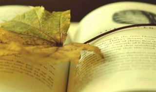 何处惹尘埃的爱情意思 何处惹尘埃在爱情里的意思简述